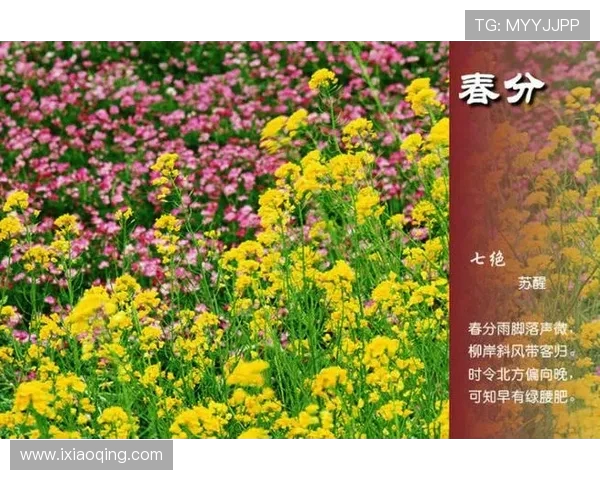 盘点那些以诗词为灵感的经典电脑游戏体验古韵与数字世界的交融